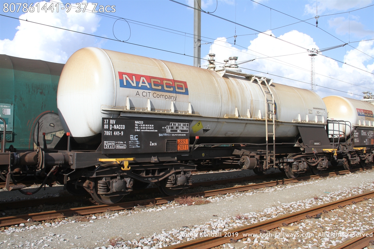 807861441-9_37 Zacs.JPG